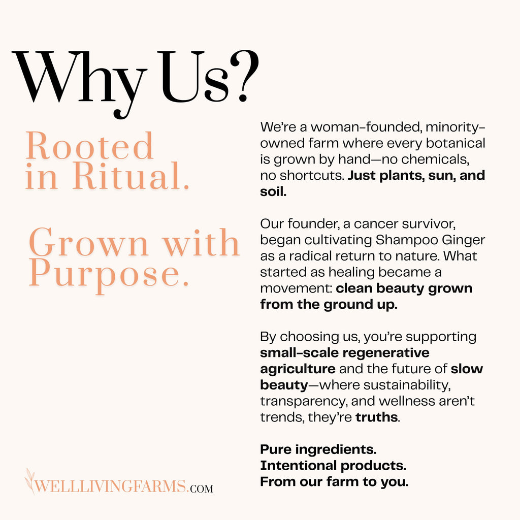 Well Living Farms story slide about handmade natural skincare and tallow-based creams. Ethically grown herbs and slow beauty practices for natural moisturizers and tallow balm.