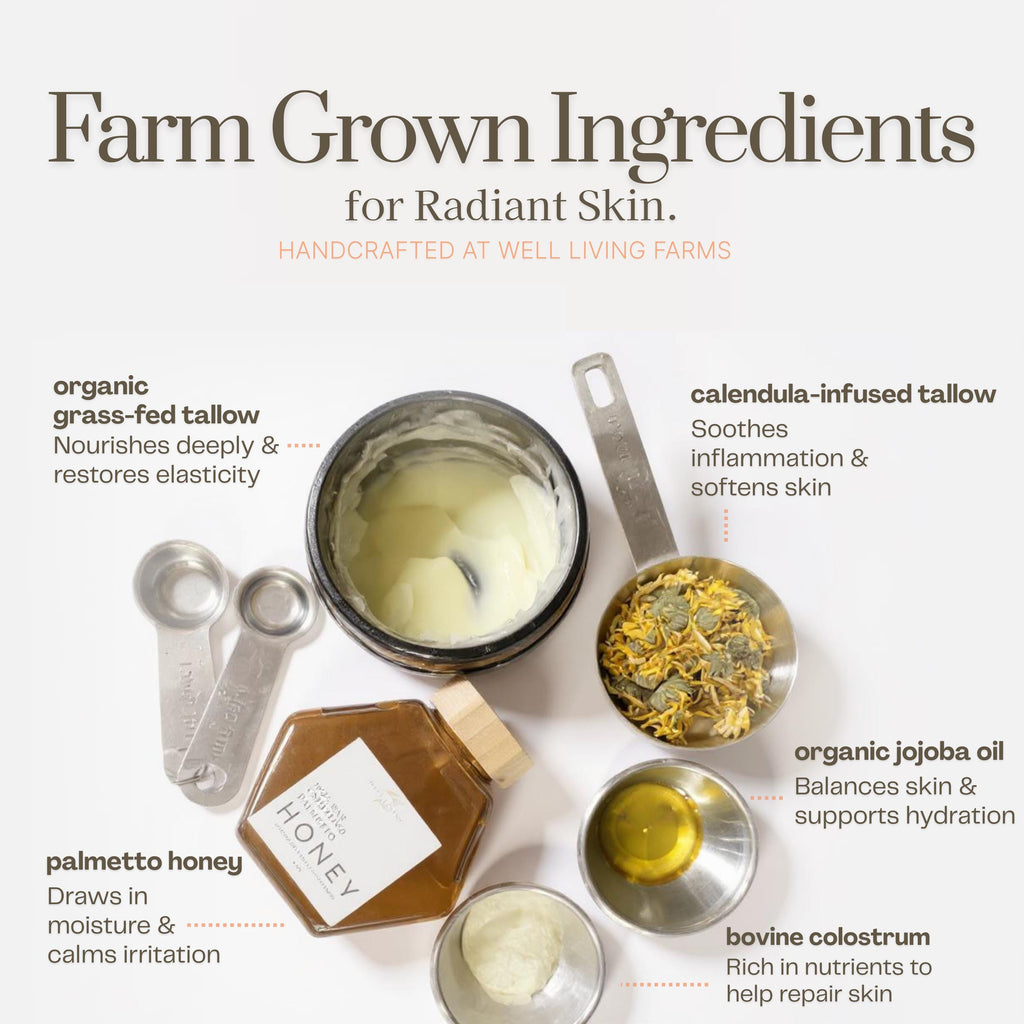 Flat lay of natural skincare ingredients including calendula, palmetto honey, and grass-fed tallow used in organic tallow cream. Botanical blend for whipped body butter or tallow balm.