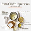Flat lay of natural skincare ingredients including calendula, palmetto honey, and grass-fed tallow used in organic tallow cream. Botanical blend for whipped body butter or tallow balm.