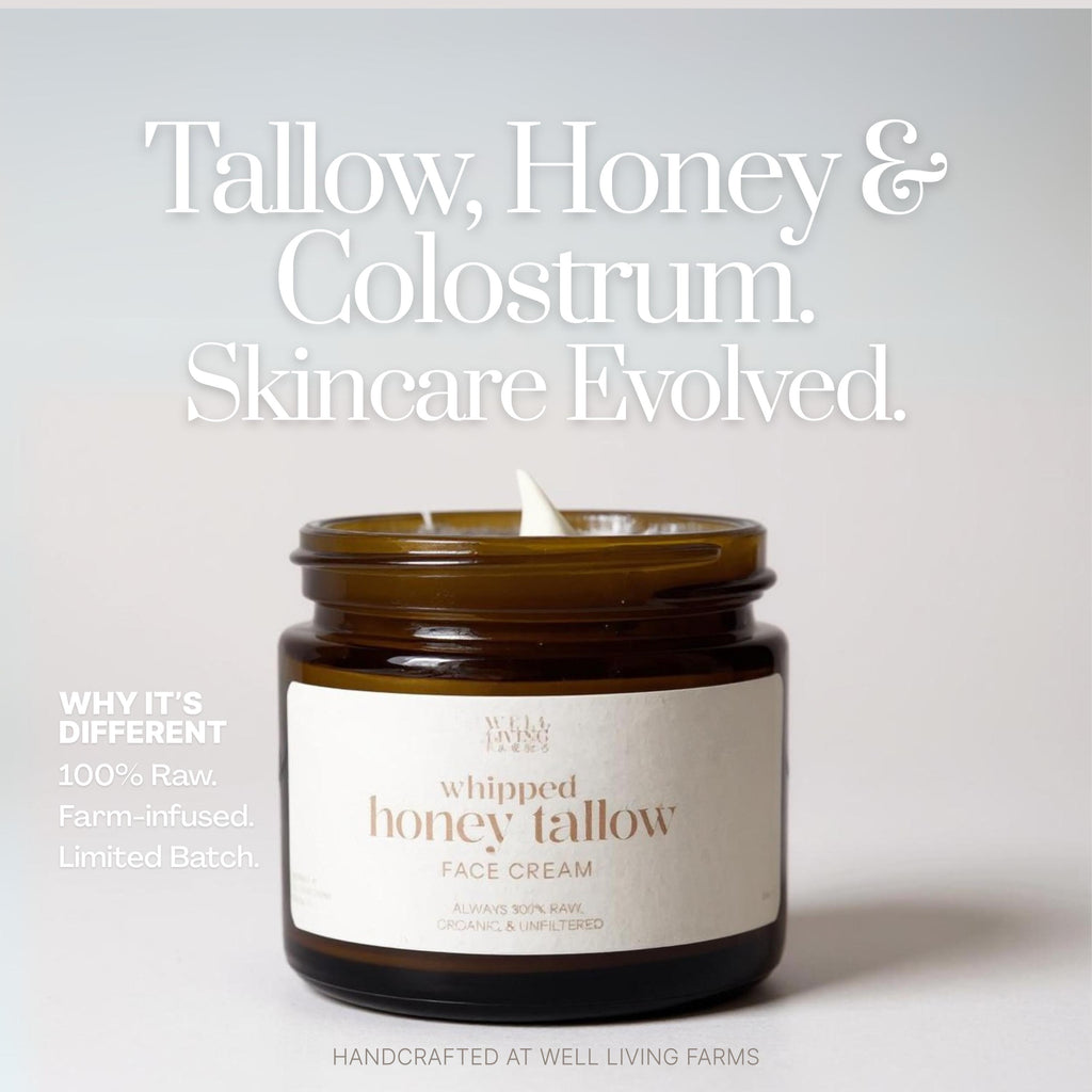 Whipped honey tallow face cream in amber jar with modern label, handcrafted using grass-fed tallow, colostrum, and palmetto honey. Natural skincare and tallow moisturizer for deep hydration.